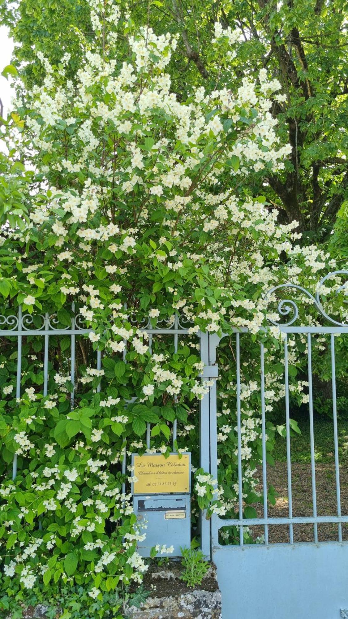 Prunay-Cassereau La Maison Celadon المظهر الخارجي الصورة